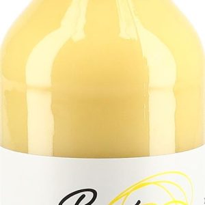 BEN’S GINGER Ingwerkonzentrat Bio Fl small 500 ml